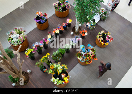 Vista aerea di un fiore reciso stallo in una struttura Morningside, Sandton shopping mall Foto Stock