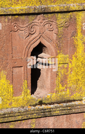 Giallo lichen crescente sulla finestra del rock underground-scavato nella chiesa di St George o Bet Giyorgis in Etiopia Foto Stock