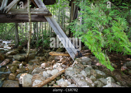 Danni da tempesta tropicale Irene nel 2011 in Montagna Bianca Foresta Nazionale di New Hampshire USA Foto Stock