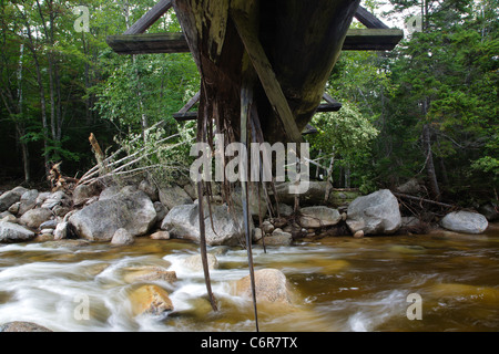 Danni da tempesta tropicale Irene nel 2011 in Montagna Bianca Foresta Nazionale di New Hampshire USA. Foto Stock