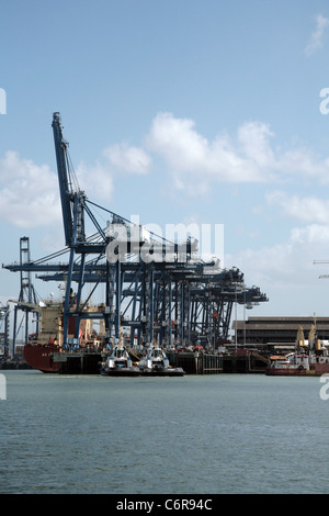 Porte di Panama Società al Balboa, sul Pacifico ingresso del canale di Panama. Foto Stock