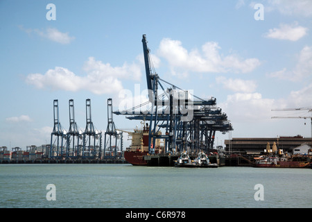 Porte di Panama Società al Balboa, sul Pacifico ingresso del canale di Panama. Foto Stock