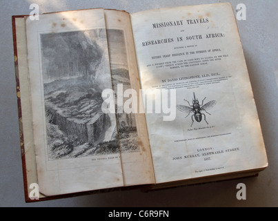 Illustrazione di un vecchio libro scritto da David Livingstone intitolata viaggi missionari e ricerche in Sud Africa Foto Stock