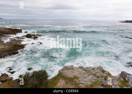 Vista sul mare e coste rocciose a Hermanus Foto Stock