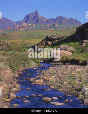 Flusso roccioso nel Drakensberg con una vista verso il corno di rinoceronte peak Foto Stock