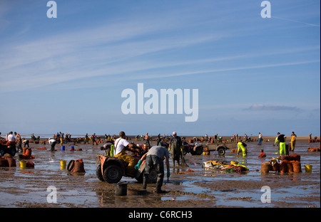 Cocktail in spiaggia con bassa marea su appartamenti di sabbia a Marshside all'inizio della stagione di Cockle picking. Incontro con le mani autorizzato a Southport, Merseyside, Regno Unito Foto Stock