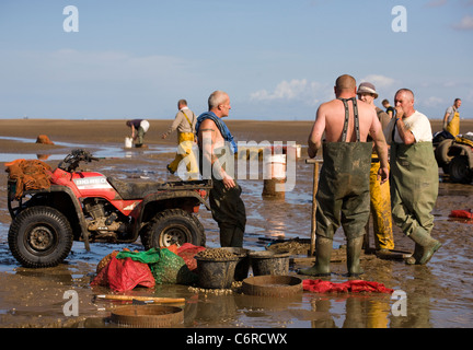 Cocktail in spiaggia con bassa marea su appartamenti di sabbia a Marshside all'inizio della stagione di Cockle picking. Incontro con le mani autorizzato a Southport, Merseyside, Regno Unito Foto Stock