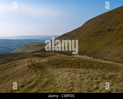 Il Beacon modi il sentiero corre lungo la parte inferiore della ventola Hir ridge in Montagna Nera area di Brecon Beacons Foto Stock