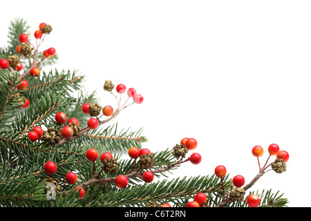 Rami di pino e bacche per il Natale di confine. Foto Stock