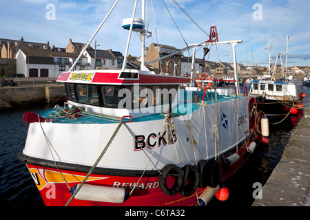 Barche da pesca nel porto di Burghead, Moray Firth, Scozia Foto Stock