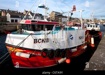 Barche da pesca nel porto di Burghead, Moray Firth, Scozia Foto Stock