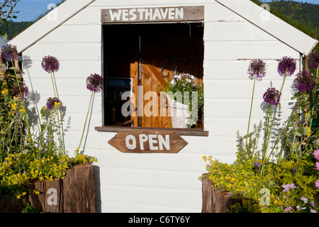 "Westhaven Scuola in mare' (Walkers Giardino ritiri) aggiudicati Flora argento Malvern Giardinaggio molla Show 2011 Foto Stock