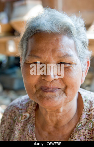 Ritratto di vecchia donna sorridente, sotto una palafitta, Phnom Leap Village, vicino a Siem Reap, Cambogia Foto Stock