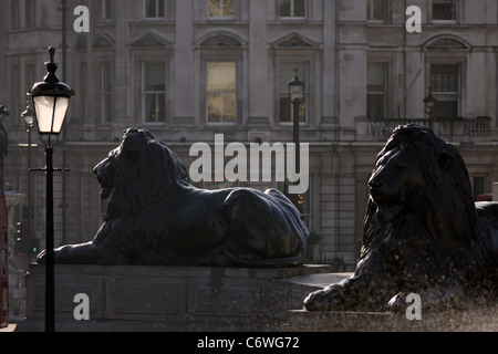 Due dei Lions Nelson circostante la colonna in Trafalgar Square Foto Stock