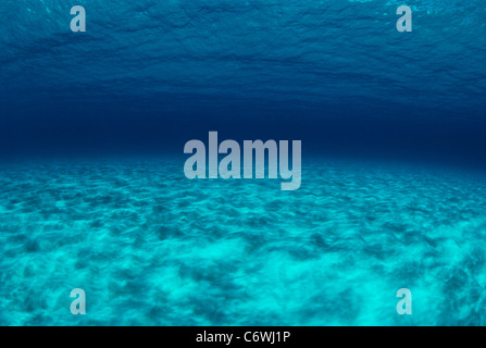 Fondo di sabbia. Grand Cayman island, Mar dei Caraibi Foto Stock