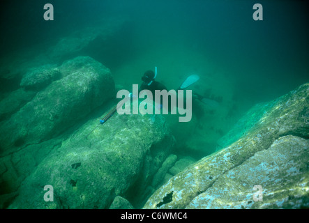 Pesca subacquea per la spigola. Les Minquiers, Bretagna, Francia, Oceano Atlantico Foto Stock