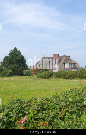 Casa di paglia, Kampen, isola di Sylt, Schleswig-Holstein, Germania Foto Stock