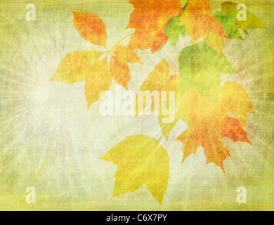 Grunge sfondo con foglie colorate, close-up Foto Stock