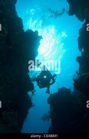 Silhouette di una femmina di fotografo subacqueo in una nuotata attraverso in Belize. Foto Stock