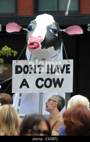 I vegetariani prendere parte all'annuale Veggie Pride Parade nel Meatpacking District di New York City, Stati Uniti d'America il 16 maggio 2010. Foto Stock