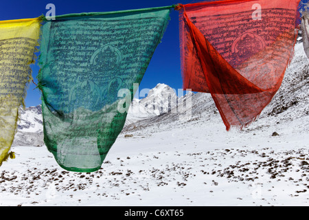 Bandiere di preghiera e le montagne nevose, Everest Regione, Nepal Foto Stock