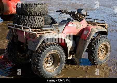 La mietitura Cocklers utilizzando ATV (ATV) "quad bikes" all'inizio dell'arricciatura stagione della raccolta, Southport, Merseyside, Regno Unito Foto Stock