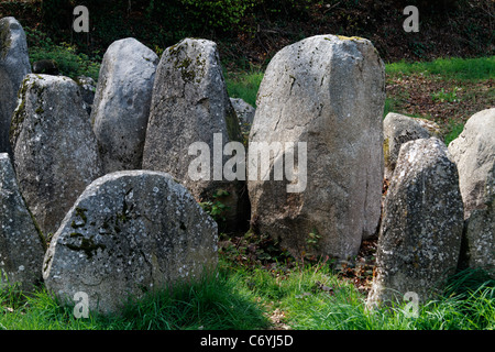 Sito megalitico : La table au diable (la tabella per il diavolo), Passais la concezione (Orne, in Normandia, Francia). Foto Stock