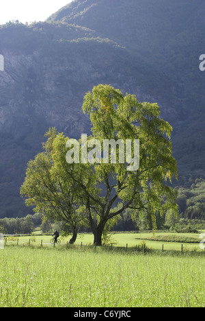 La molla del paesaggio. Splendidi prati e montagne e albero con uomo passando in mountain bike. Foto Stock