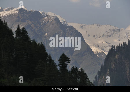 Vista la natura in Manali. Foto Stock