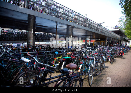 Multi-livello parcheggio per biciclette nella città di Amsterdam, Paesi Bassi Foto Stock