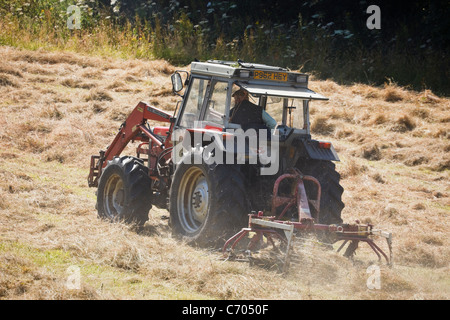 Trattore con registrazione HEY tirando un rastrello fieno andane di tornitura di fieno per essiccamento in un campo retroilluminato attraverso la nuvola di polvere. Regno Unito Foto Stock