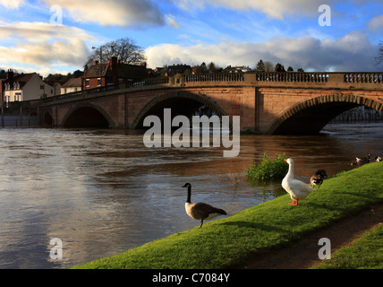 Vicino alle inondazioni del fiume Severn passa sotto la Thomas Telford Ponte a Bewdley, Worcestershire, Inghilterra, Europa Foto Stock