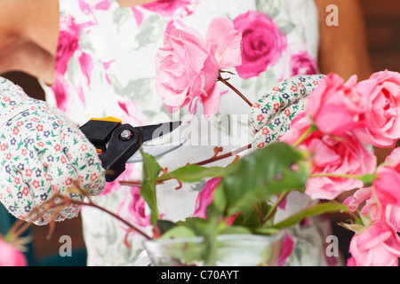 Close up della donna la potatura di rose Foto Stock