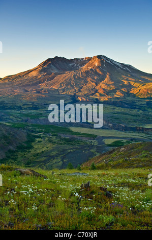 Il Monte Sant Helens dal sentiero di confine vicino a Johnston Ridge Visitor Center Monte St Helens National Volcanic Monument Washington Foto Stock