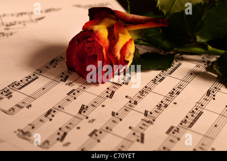 Sorse su un foglio di musica Foto Stock