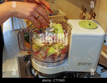 Giovane donna 20s utilizzando ingredienti freschi e frullatore rendendo coleslaw nella sua cucina domestica Foto Stock