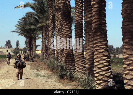 Stati Uniti Marines e poliziotti iracheni a piedi lungo una strada orlata di palme da dattero come sono in pattugliamento a piedi al di fuori del Jebadin, Iraq, il 17 marzo 2008. I marines sono attaccati al Foxtrot Company, 2° Battaglione, 3° Reggimento Marine, Regimental Combat Team 1. DoD foto di Lance Cpl. Stuart C. Wegenka, U.S. Marine Corps. (Rilasciato) Foto Stock