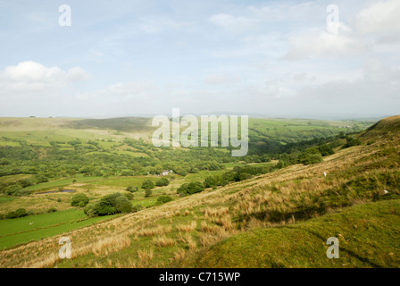 Woodland nella valle di Clydach superiore, Galles del Sud, la riserva naturale Cwm Clydach di RSPB, Regno Unito. Foto Stock