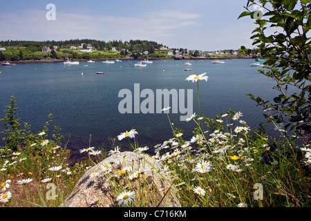 Ingresso con barche da pesca e margherite, porto di pescatori, Machias Maine, Stati Uniti d'America Foto Stock