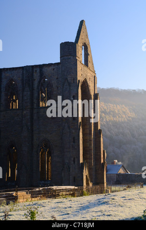 Le rovine di Tintern Abbey su un gelido autunno mattina. Tintern, Monmouthshire, Galles del Sud. Foto Stock