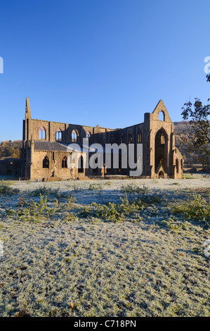 Le rovine di Tintern Abbey su un gelido autunno mattina. Tintern, Monmouthshire, Galles del Sud. Foto Stock