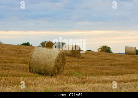 Fieno di laminati bails vicino al tramonto su una collina con un cielo colorato Foto Stock