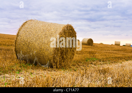 Fieno di laminati bails vicino al tramonto su una collina con un cielo colorato Foto Stock