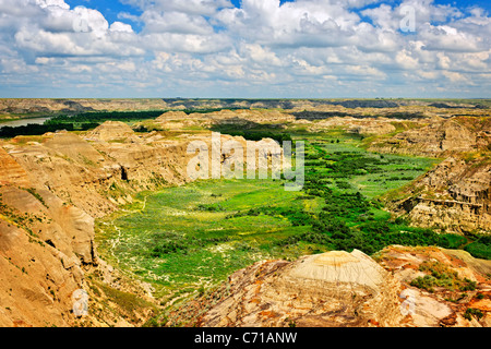 Vista di Red Deer River Valley in Badlands nel parco provinciale dei dinosauri, Alberta, Canada Foto Stock