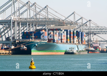 Nave Container e gru di un porto Foto Stock