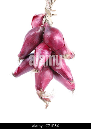 Appendere mazzetto di cipolle rosse da Tropea mercato isolato su sfondo bianco Foto Stock