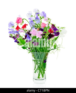 Bouquet di coloratissimi pisello dolce fiori in vaso di vetro Foto Stock