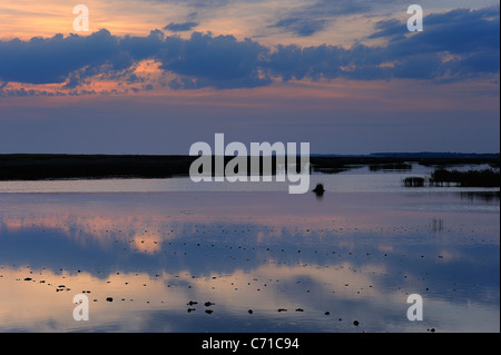 Tramonto su paludi in mortagne (sur Gironde, estuario Gironde, sud della Charente Maritime reparto, a ovest della Francia Foto Stock