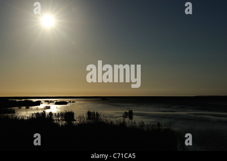 Tramonto su paludi in mortagne (sur Gironde, estuario Gironde, sud della Charente Maritime reparto, a ovest della Francia Foto Stock