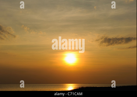 Tramonto su paludi in mortagne (sur Gironde, estuario Gironde, sud della Charente Maritime reparto, a ovest della Francia Foto Stock